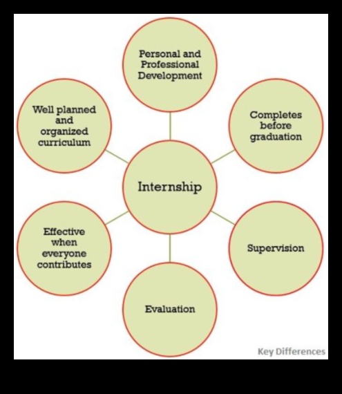 what does internship mean