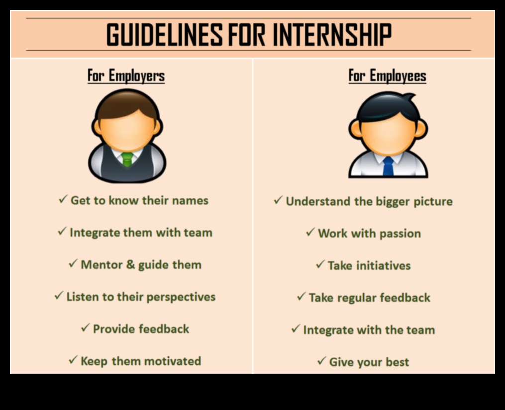 what does internship mean