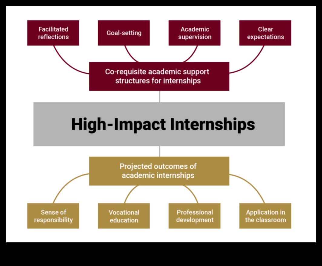 The Rise of Internships in Higher Education 1