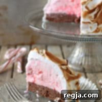 Ψητή Αλάσκα με Παγωτό Μπράουνι και Χριστουγεννιάτικη Καραμέλα 2 Baked Alaska Brownie με Παγωτό Μέντας και Καραμελόξυλο