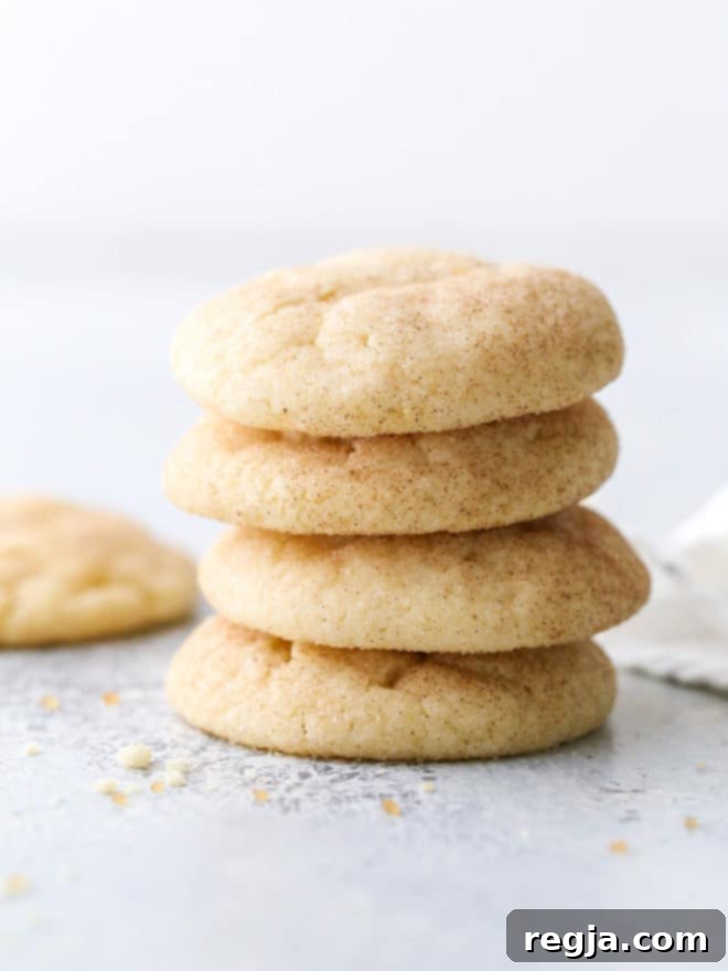 Αφράτα και μαστιχωτά snickerdoodles με μια νότα κανέλας. Ένα αληθινό κλασικό!