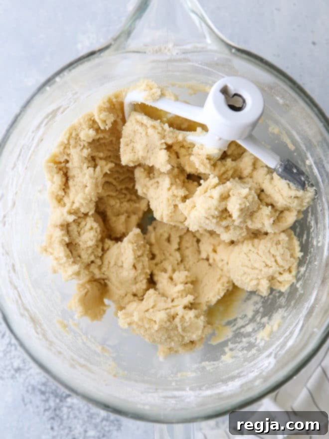 Ζύμη μπισκότων Snickerdoodle