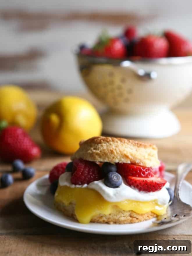 Λεμονάτα Shortcakes με Μούρα