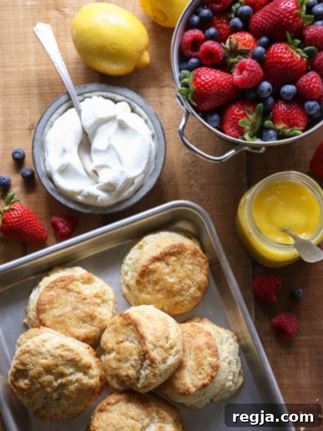 Λεμονάτα Shortcakes με Μούρα