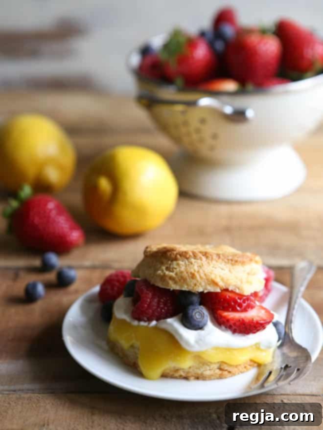 Λεμονάτα Shortcakes με Μούρα