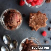Παγωτό Μαύρη Σοκολάτα με Βατόμουρο και Κομματάκια Μπράουνι