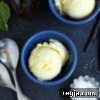 Παγωτό Ελαιολάδου με Βανίλια 2 Παγωτό Ελαιόλαδο με Κόκκους Βανίλιας