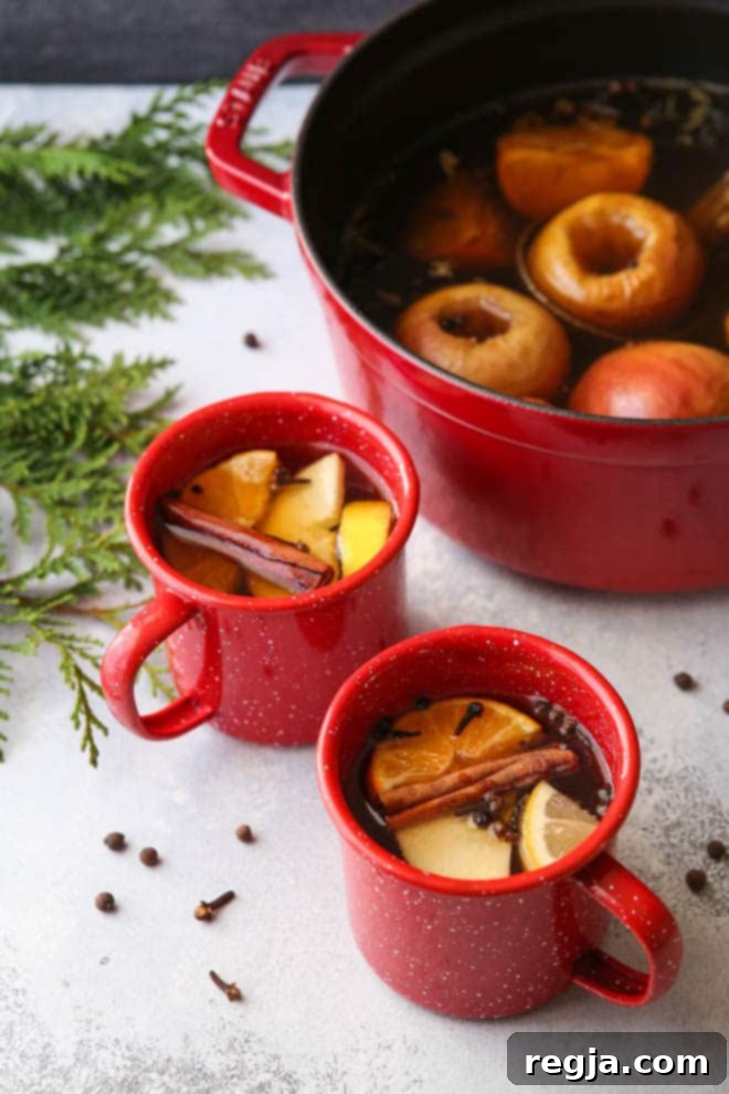 Πλούσιο ζεστό wassail φτιαγμένο με παραδοσιακό τρόπο!