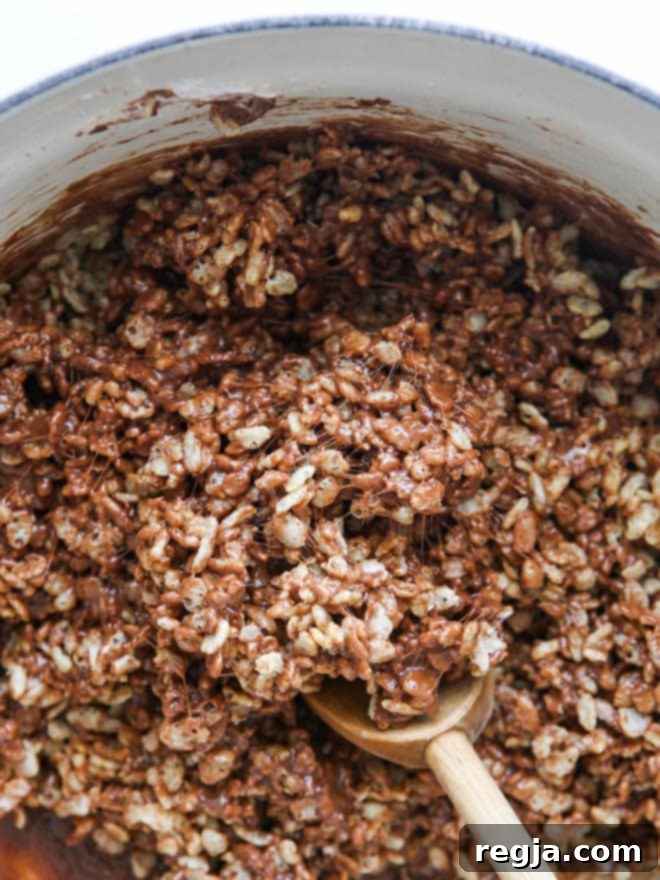 Nutella Rice Krispie Treats