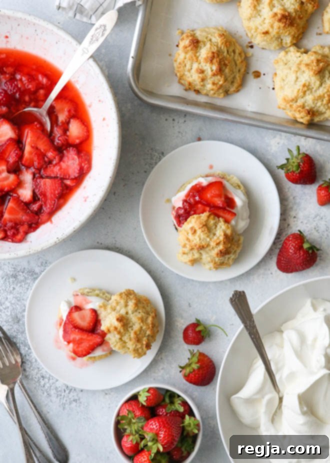 Συναρμολόγηση φραουλών shortcakes