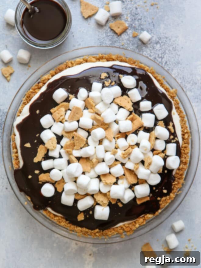 Πάνω όψη παγωτοπίτας S'mores