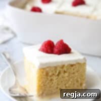 Κέικ Τριών Γάλατων 6 Κλασική τούρτα Tres Leches, ένα απλό αλλά παρακμιακό γλυκό που θα λατρέψει ο καθένας!