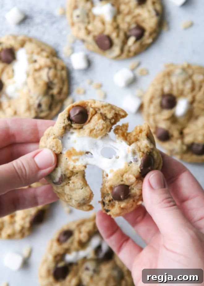 Τα cookies με κομματάκια σοκολάτας συναντούν τα Rice Krispie treats σε αυτό το διασκεδαστικό mashup!