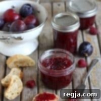 Ρουμπινί Σμέουρο Δαμάσκηνο 2 Μαρμελάδα Δαμάσκηνο-Βατόμουρο