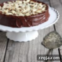 Τούρτα Σοκολάτα Αμύγδαλο 2 Σοκολατένια Αμυγδαλόπιτα Julia Child