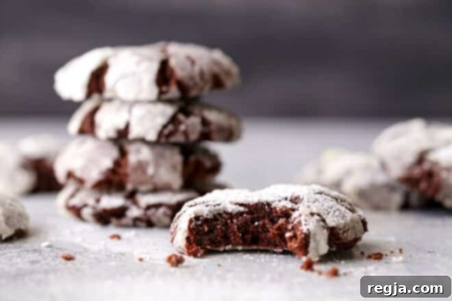 Αυτά τα πλούσια και μαλακά σοκολατένια crinkle μπισκότα έχουν μια νότα καφέ και κανέλας που τα ξεχωρίζει. Είναι απλά ακαταμάχητα!