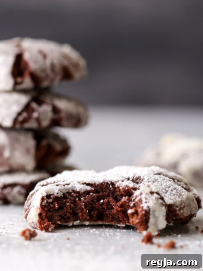 Αυτά τα πλούσια και μαλακά σοκολατένια crinkle μπισκότα έχουν μια νότα καφέ και κανέλας που τα ξεχωρίζει. Είναι απλά ακαταμάχητα!