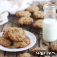 Μπισκότα Πρωινού Granola