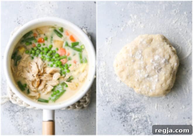 chicken pot pie filling in a pot, and pie crust dough