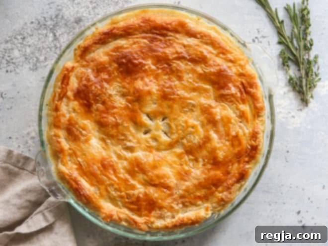 baked chicken pot pie