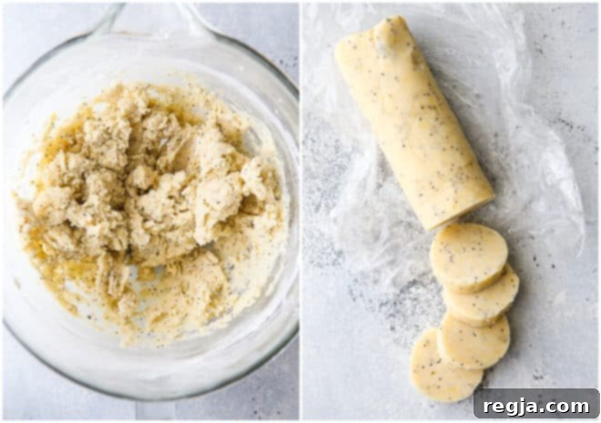 Ζύμη μπισκότων shortbread με λεμόνι και παπαρουνόσπορο σε μπολ ανάμειξης, και ψυγμένο και κομμένο σε ροδέλες