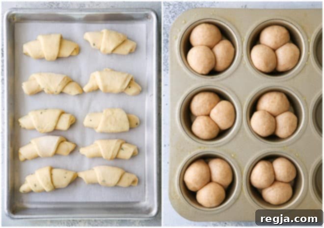 crescent rolls and cloverleaf rolls before baking