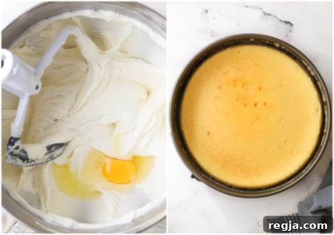 γέμιση cheesecake και ψημένο cheesecake