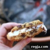 S'mores με Cookies Σοκολάτας από completelydelicious.com