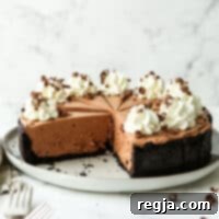 Πλάγια όψη τσιζκέικ σοκολάτας χωρίς ψήσιμο