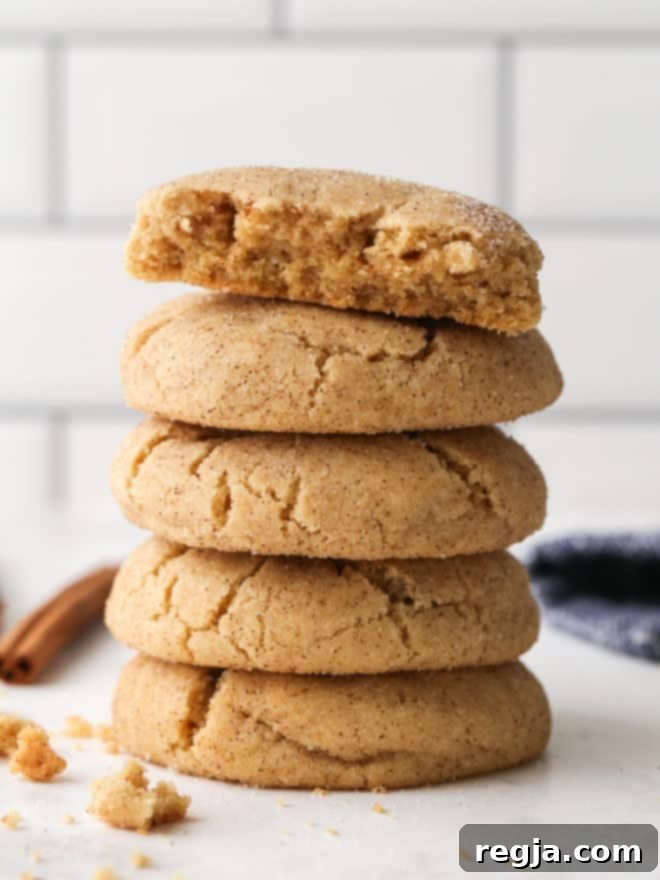 Στοίβα από μπισκότα snickerdoodle με καστανό βούτυρο, ένα κομμένο στη μέση