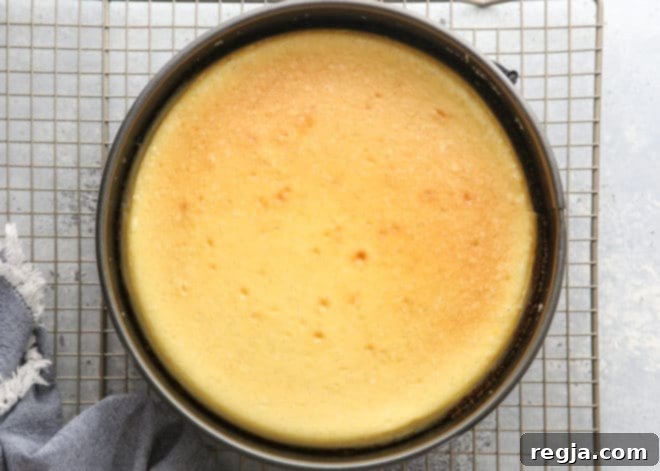 Cheesecake φρεσκοψημένο από τον φούρνο