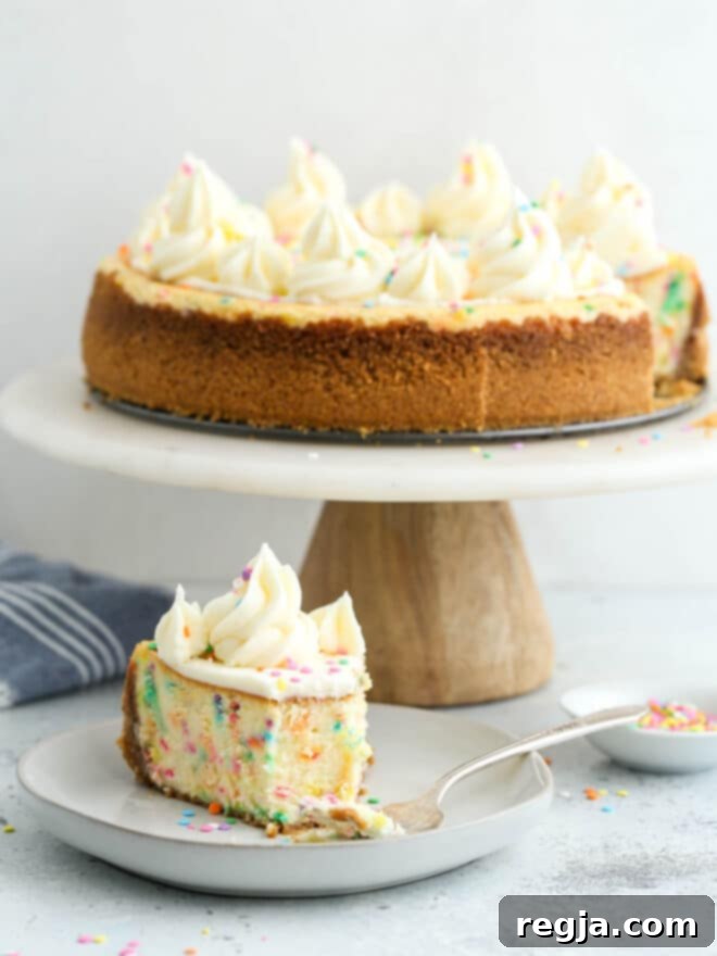 Τσιζκέικ Ουράνιο Τόξο 7 Funfetti cheesecake σε βάση τούρτας με μια φέτα σε πιάτο