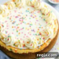 Τσιζκέικ Ουράνιο Τόξο 8 Κοντινό πλάνο funfetti cheesecake