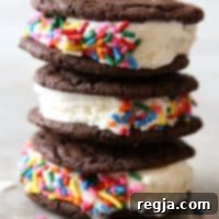 Μπισκοτοπαγωτό Σοκολάτας | completelydelicious.com