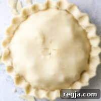 Κρούστα Πίτας Βουτυρογάλακτος 7 Τάρτα έτοιμη για ψήσιμο στο φούρνο