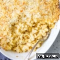 ψητά μακαρόνια με τυρί σε ταψί με κουτάλι