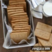 Σπιτικά Κράκερ Γκράχαμ με Μέλι 2 Σπιτικά Μπισκότα Graham με Μέλι | completelydelicious.com