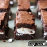 Φωτογραφία από Chocolate Mint Brownies