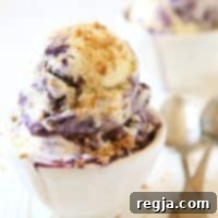 Παγωτό Blueberry Pie | completelydelicious.com