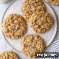 Κοντινό πλάνο μαλακών μπισκότων βρώμης σε ένα πιάτο