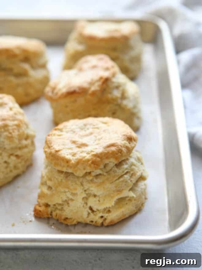 Εύκολα Μπισκότα με Βουτυρόγαλα | completelydelicious.com